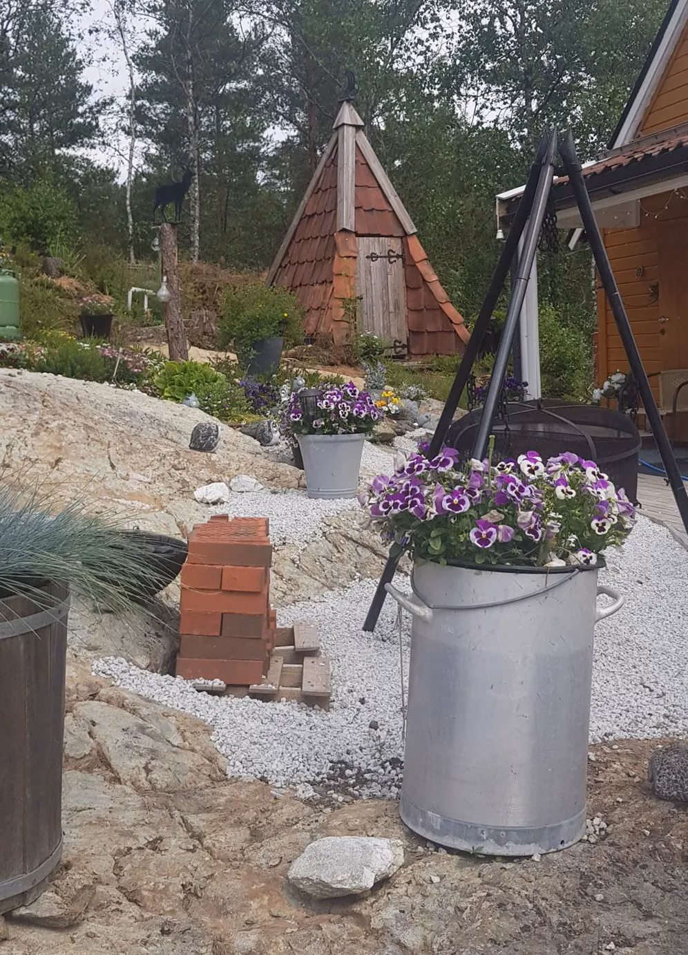 Blomsterpotter i Barlind Hyttegrend Blomsterpotter med stemorsblomst i Barlind Hyttegrend