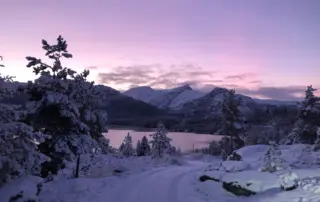 Flott vinterbilde med snøtunge tre og kvite fjelltoppar i Barlind Hyttegrend.